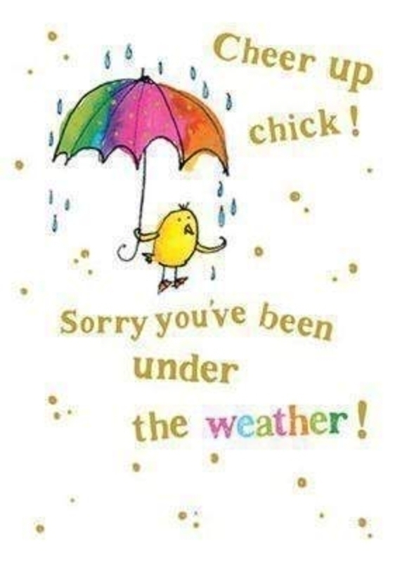 Cheer Up Chick Card by Catching Rainbows. Chick with umbrella on front with the words ' Cheer up chick! .. Sorry you've been under the weather!' on the front. 'Hope you feel brighter soon' on the inside. Comes with an orange envelope. Size 17x12cm